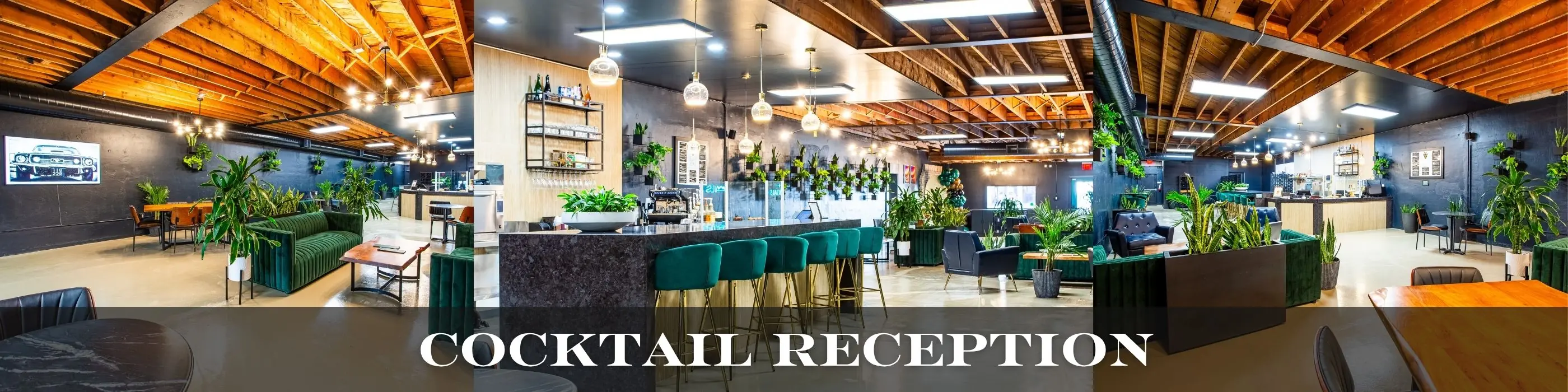 Italian Celebration reception
