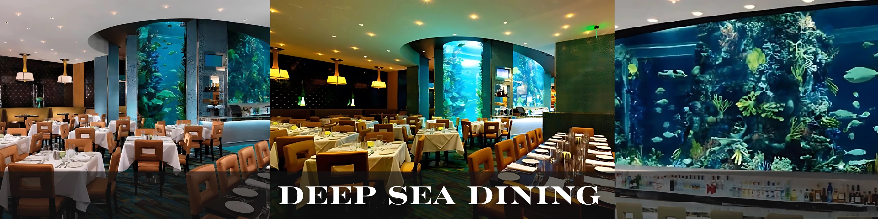 Deep Sea Dining